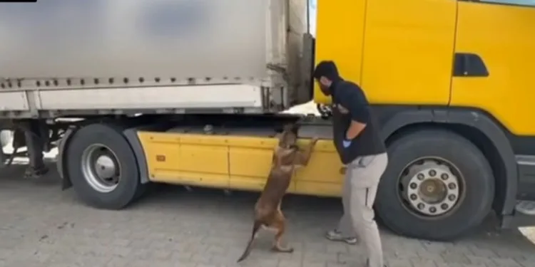 Denizde teknesi terk edilmiş halde bulunan balıkçı için arama çalışması başlatıldı