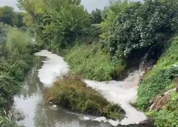 Gemlik Körfezi’nde kirlilik endişeye yola çıyor