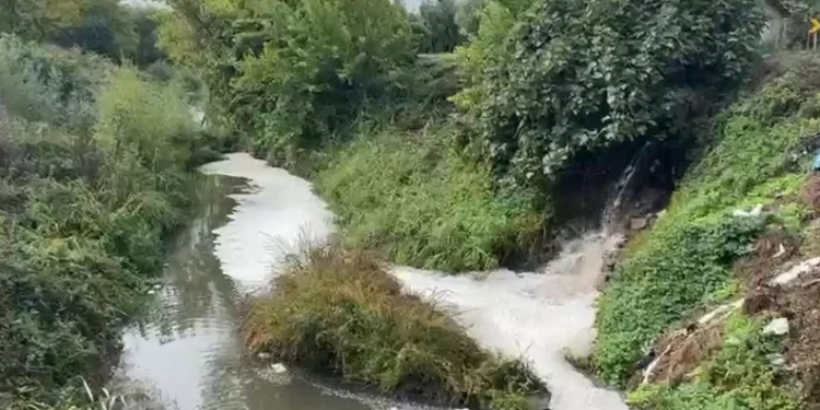 Gemlik Körfezi’nde kirlilik endişeye yola çıyor