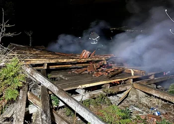Bursa’da tarlada çıkan yangın 2 barakayı küle çevirdi