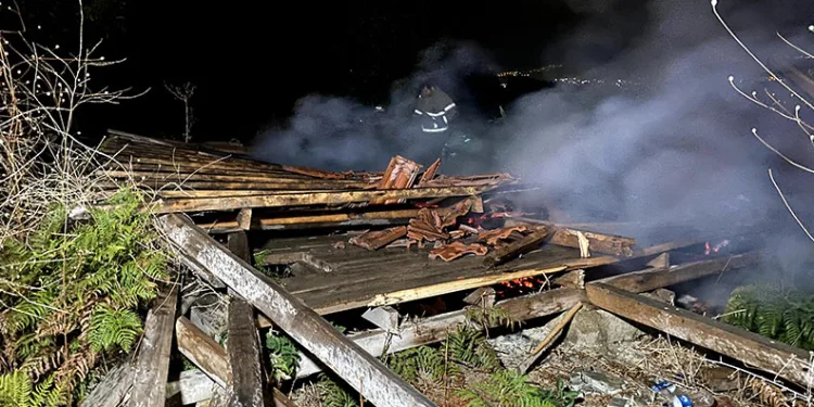 Bursa’da tarlada çıkan yangın 2 barakayı küle çevirdi