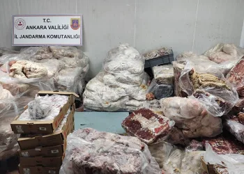 17 ton bozuk et ele geçirildi