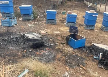 Bursa’da uyuşturucu taciri kıskıvrak yakalandı