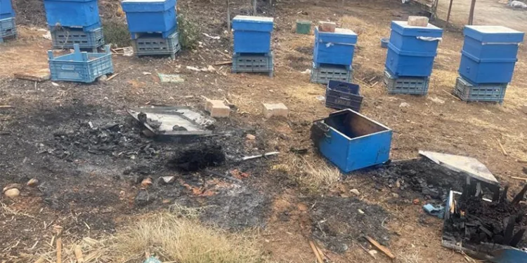 Bursa’da uyuşturucu taciri kıskıvrak yakalandı