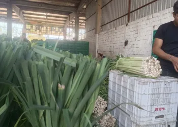 Bursa’da panik yaşayan mahalle sakinleri konuştu