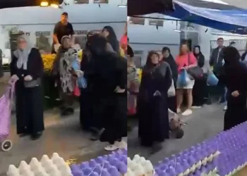 Çöp eve dönen daireden 2 kamyon atık çıktı: Belediye ekipleri şoke oldu