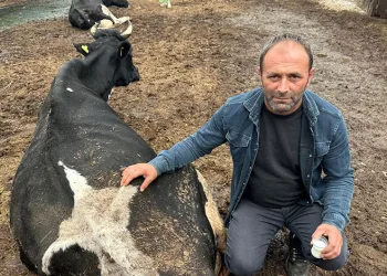 Bursa’da yol kavgası karıştı: Sopalar, yumruklar, terlikler havada uçuştu