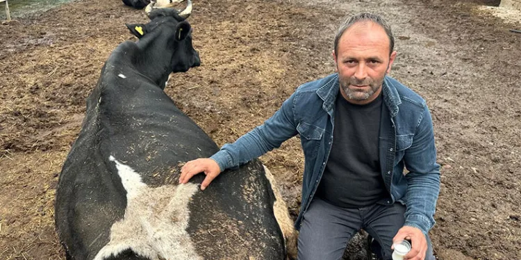Bursa’da yol kavgası karıştı: Sopalar, yumruklar, terlikler havada uçuştu