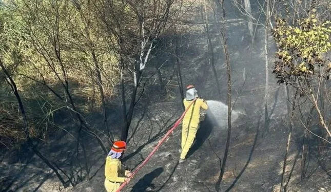 Başakşehir’de malzeme deposunda çıkan yangın korkuttu