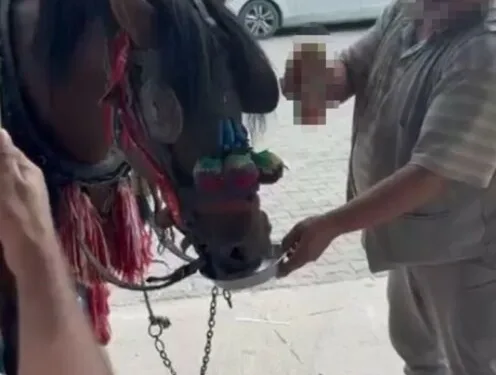 Tekirdağ’da minibüs ile tır kafa kafaya çarpıştı: 1 ağır yaralı