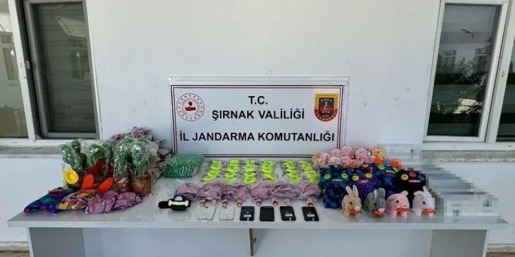 Tekirdağ’da minibüs ile tır kafa kafaya çarpıştı: 1 ağır yaralı