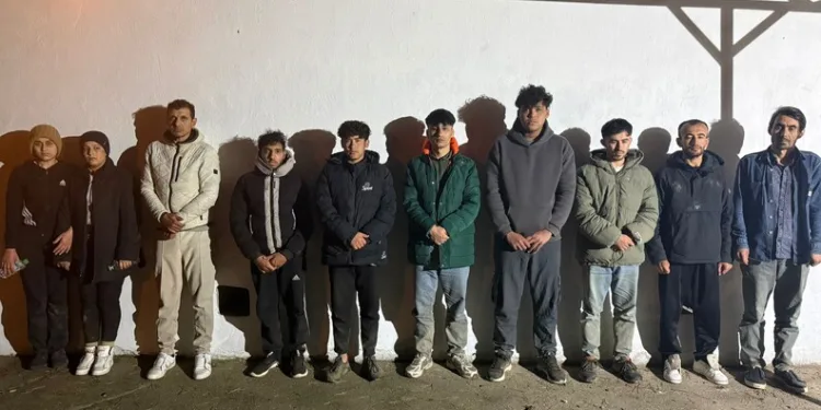 Tekirdağ’da minibüs ile tır kafa kafaya çarpıştı: 1 ağır yaralı