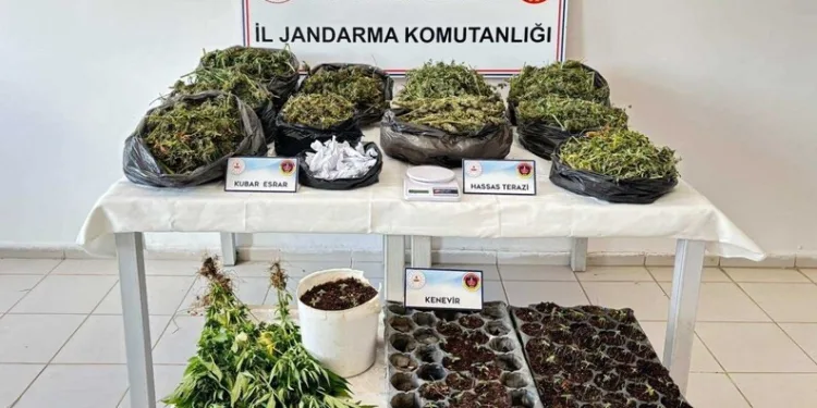 Mardin’de 30 yıl hapis cezasıyla aranan cezaevi firarisi yakalandı