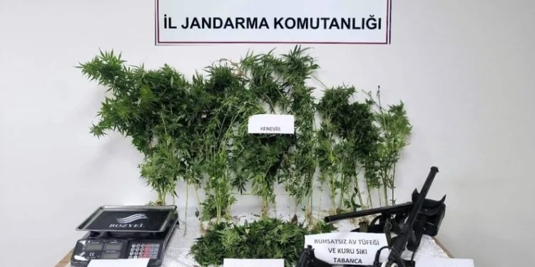 Tokat’ta jandarmadan eş zamanlı uyuşturucu operasyonu: 2 tutuklama