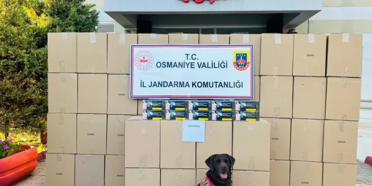 Tokat’ta jandarmadan eş zamanlı uyuşturucu operasyonu: 2 tutuklama