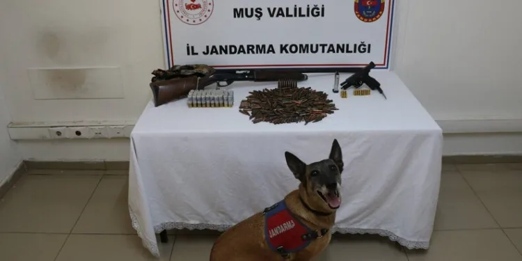Tokat’ta jandarmadan eş zamanlı uyuşturucu operasyonu: 2 tutuklama