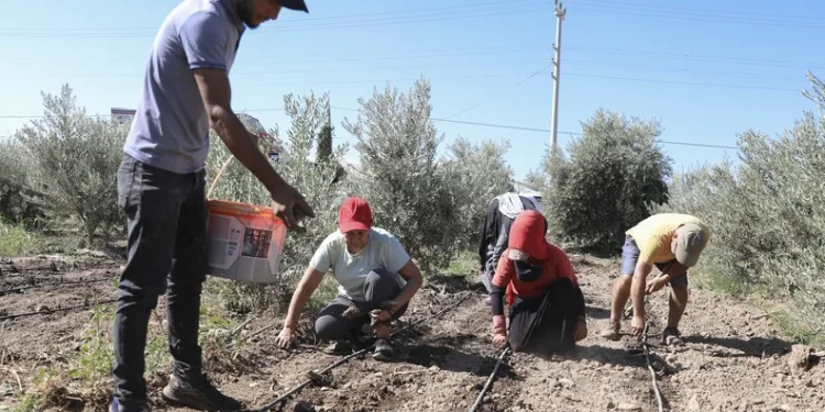 Ardahan’da yol yapım çalışmaları sürüyor