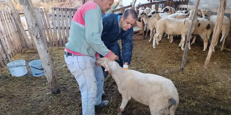 Ardahan’da yol yapım çalışmaları sürüyor