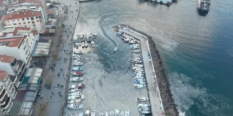 Ardahan’da yol yapım çalışmaları sürüyor