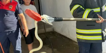 Ardahan’da yol yapım çalışmaları sürüyor