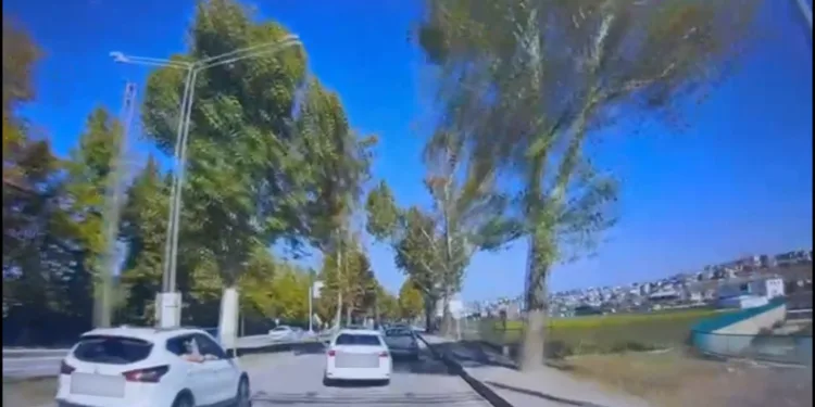 Aranan şahıs Çine’de yakalandı