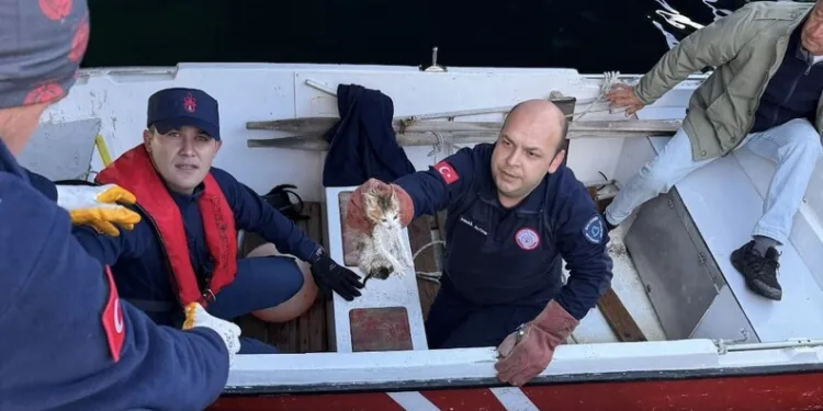 Adıyaman’da 2 ayrı motosiklet kazasında 2 kişi yaralandı
