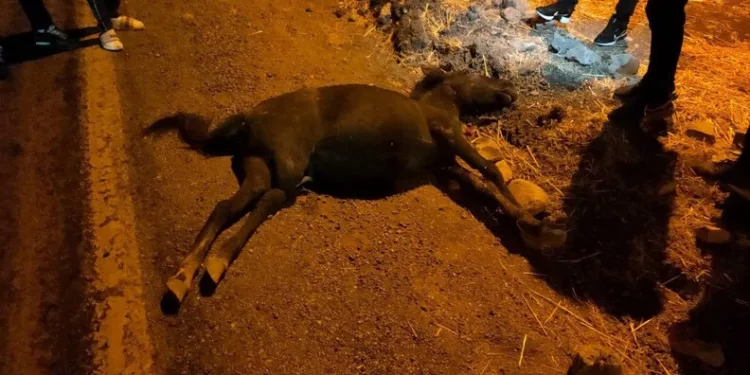 Düzce’de otomobil bariyerlere çarptı: 1 yaralı