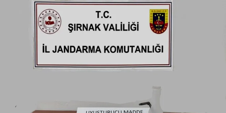 Bingöl’de hakkında 15 yıl kesinleşmiş hapis cezası bulunan zanlı tutuklandı