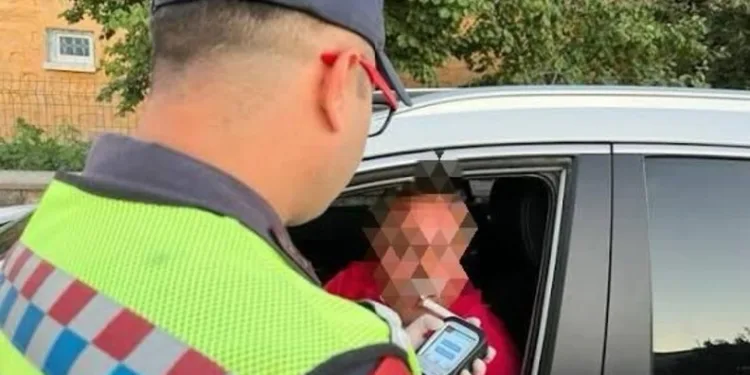 Bingöl’de hakkında 15 yıl kesinleşmiş hapis cezası bulunan zanlı tutuklandı