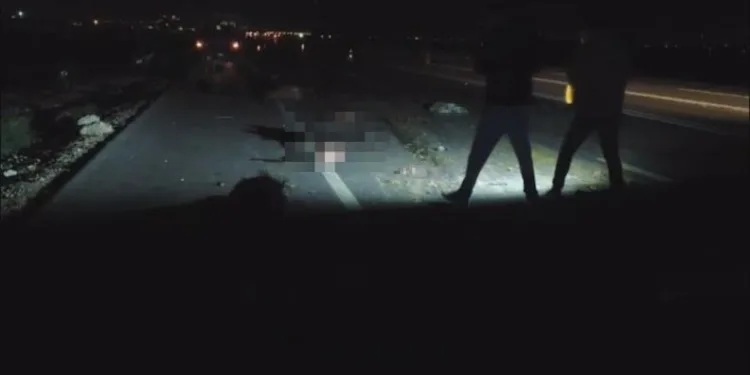 Kocaeli’de kaçak silah operasyonunda 6 pompalı tüfek ele geçirildi