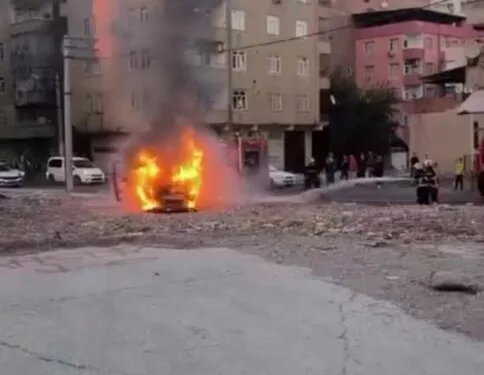Coğrafi işaret tescilli Altın Susam’a hırsız dadandı