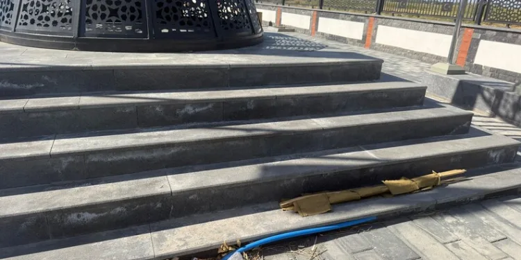 Coğrafi işaret tescilli Altın Susam’a hırsız dadandı