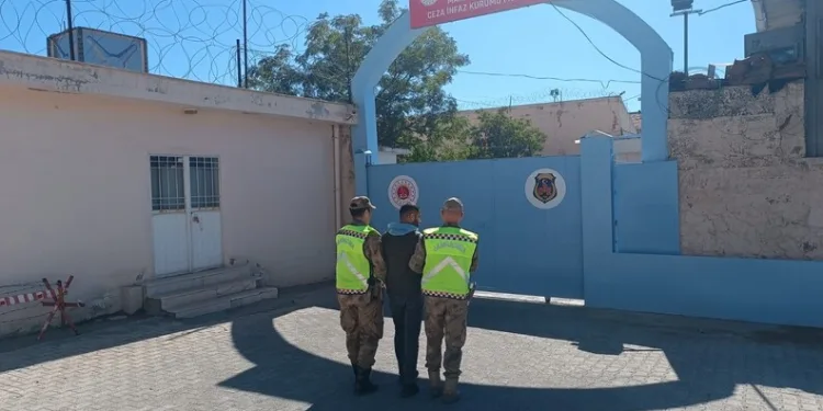 Coğrafi işaret tescilli Altın Susam’a hırsız dadandı
