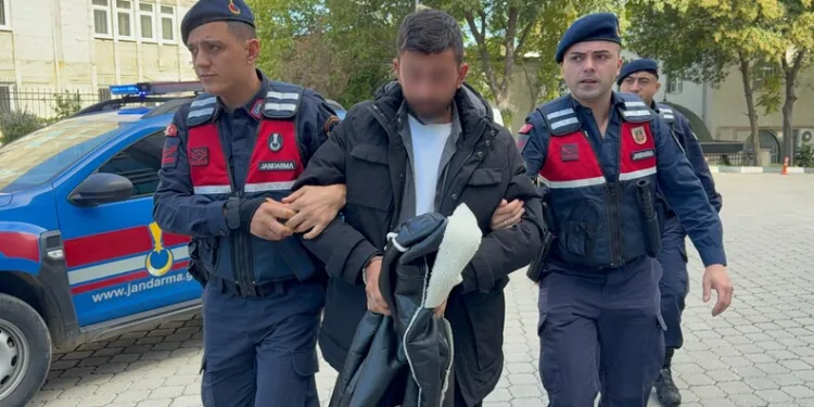 Menteşe’de zincirleme trafik kazası