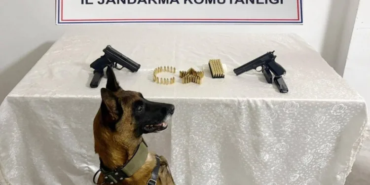 Menteşe’de zincirleme trafik kazası