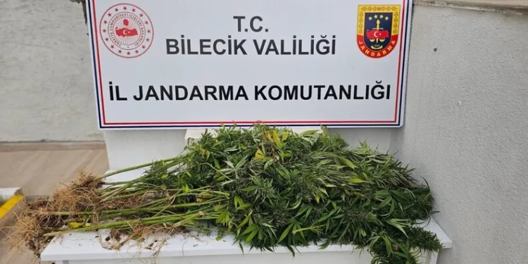 Kütahya’da uyuşturucu operasyonu: 1 tutuklama