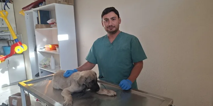Şehit Piyade Er Eyüp Güner’in naaşı memleketi Gaziantep’te