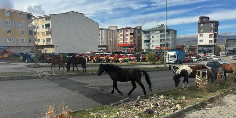 Uyuşturucu tacirleri jandarmadan kaçamadı: 2 tutuklama