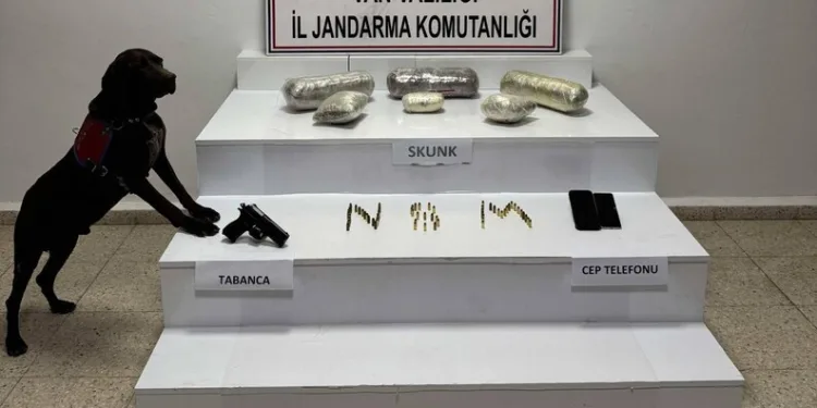 Van’da 4 kilo 311 gram skunk ele geçirildi