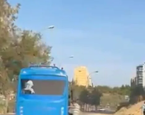 Bartın’ın maskotu öldü