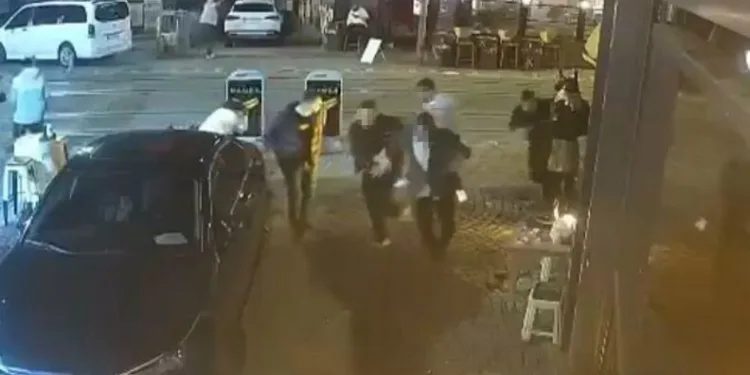 Bartın’ın maskotu öldü