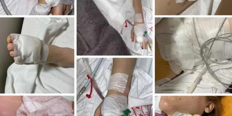 Bartın’ın maskotu öldü