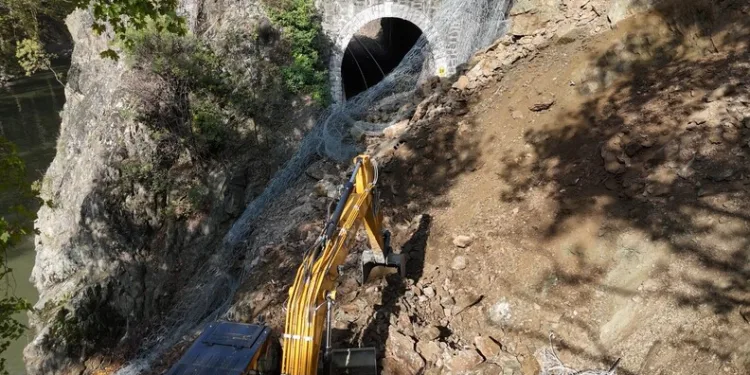 Bartın’ın maskotu öldü