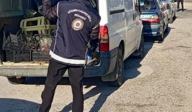 Belediye otobüsünün çarptığı kadın ağır yaralandı