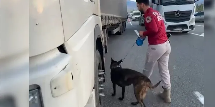 Belediye otobüsünün çarptığı kadın ağır yaralandı