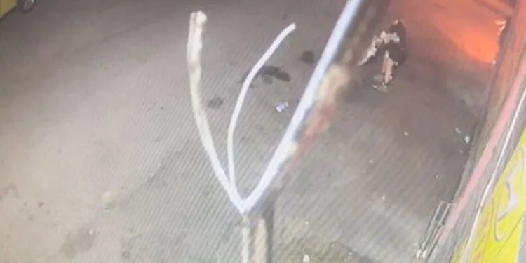 Belediye otobüsünün çarptığı kadın ağır yaralandı