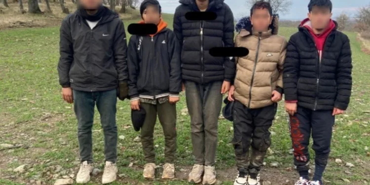 Belediye otobüsünün çarptığı kadın ağır yaralandı
