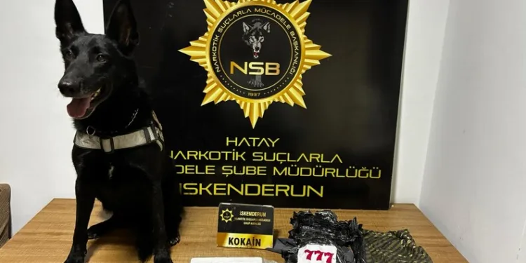 Malatya’da konteyner kentte korkutan yangın