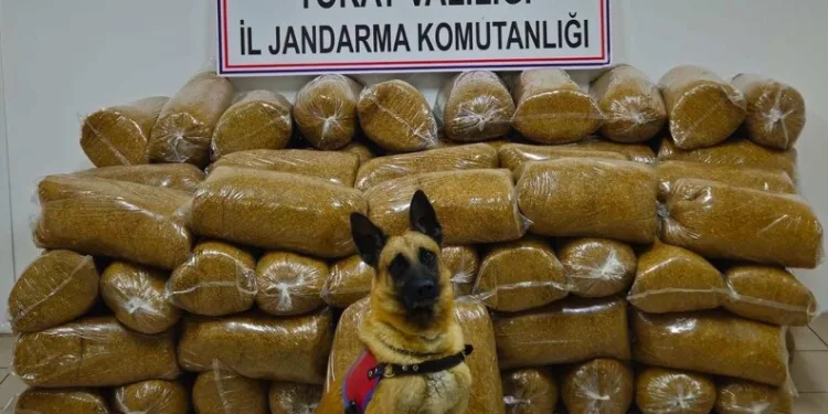 Malatya’da konteyner kentte korkutan yangın