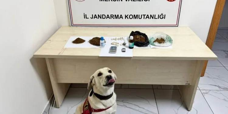 Siirt’teki aile katliamında ölen kadının hamile olduğu ortaya çıktı